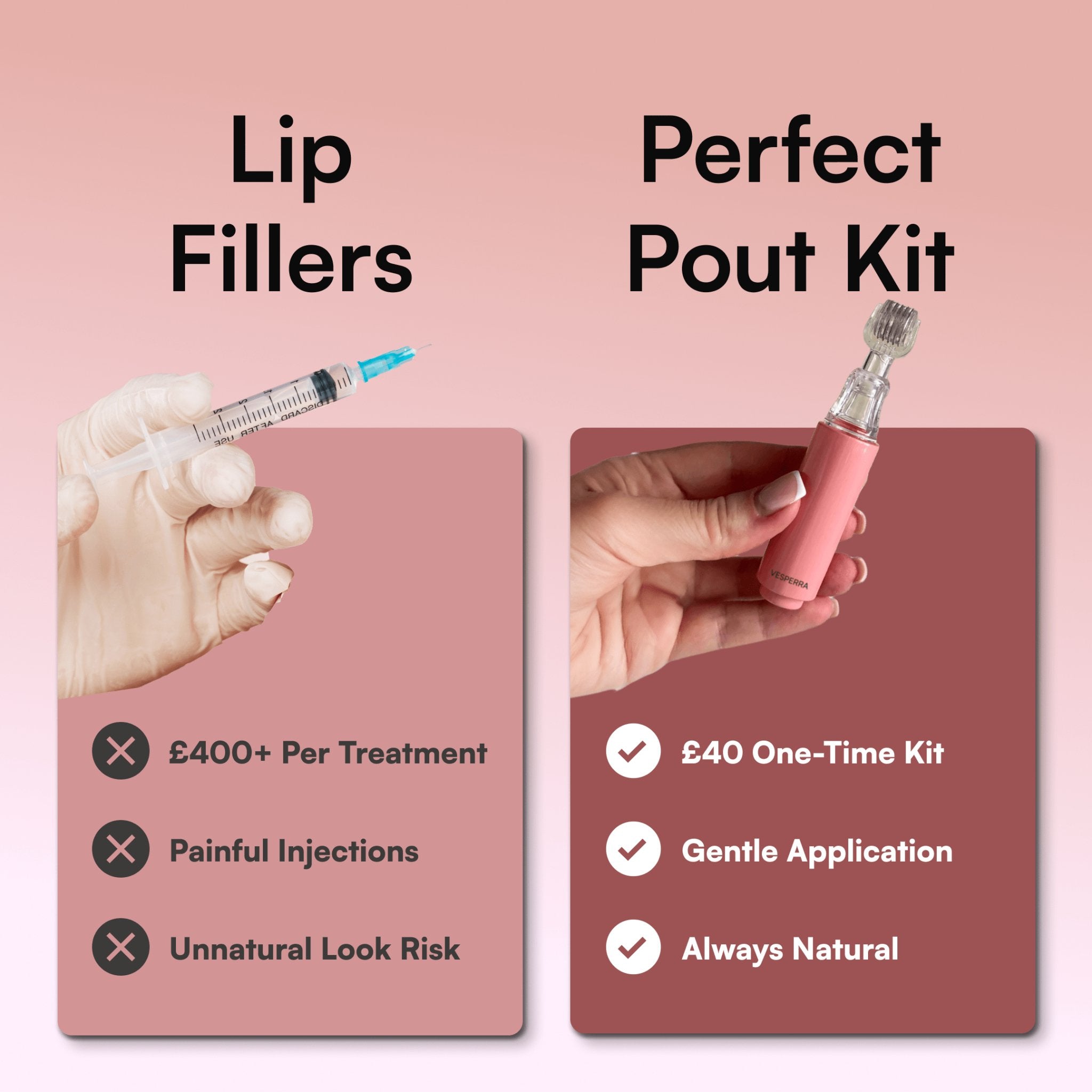 Perfect Pout Kit - vesperra